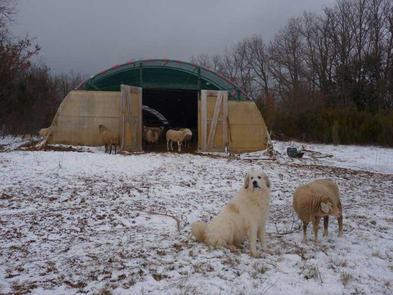 Le parc pour les troupeaux